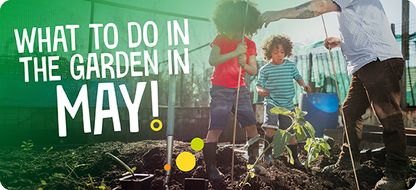 What to do in the garden in May