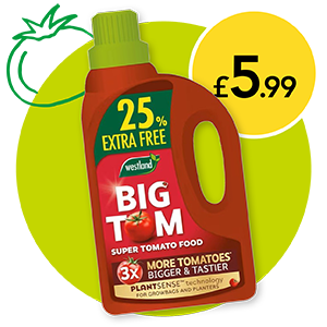 £5.99