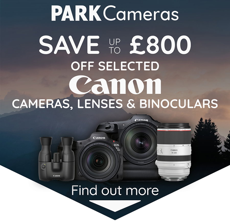 Canon Instant Saving Header