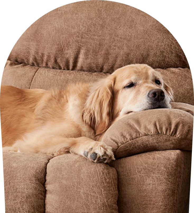 Pet Friendly Fabrics