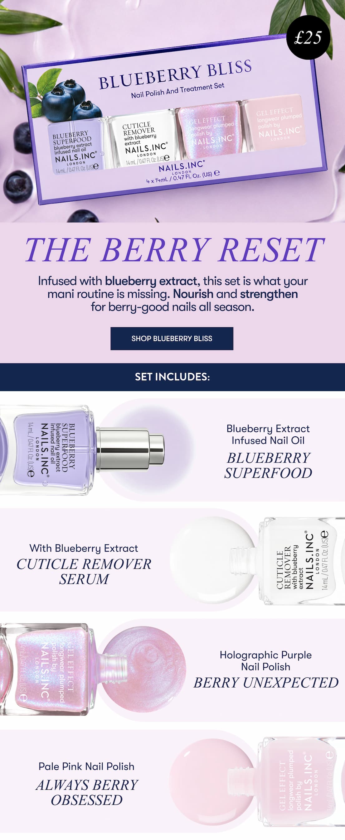 Shop Blueberry Bliss