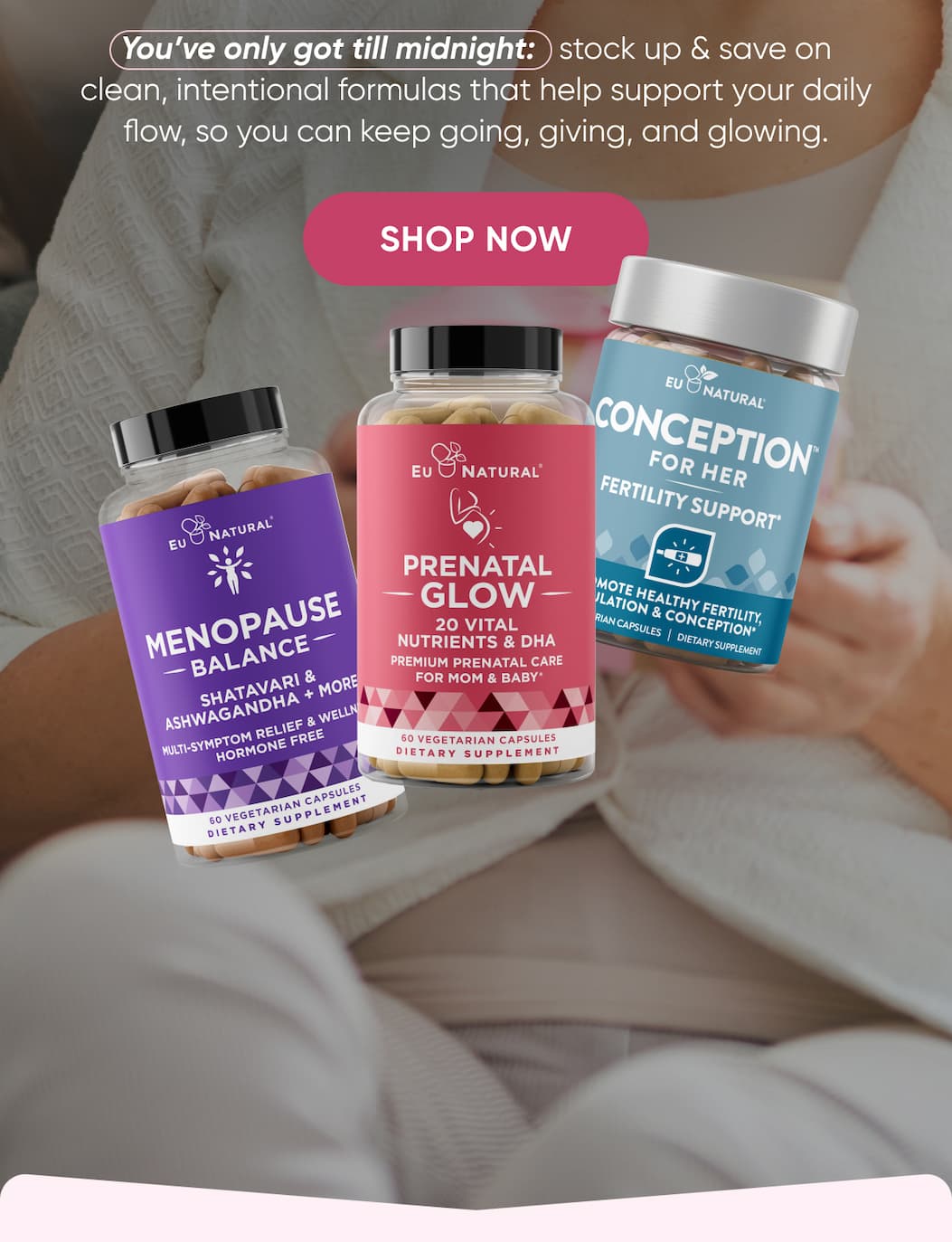 << Shop Now >>