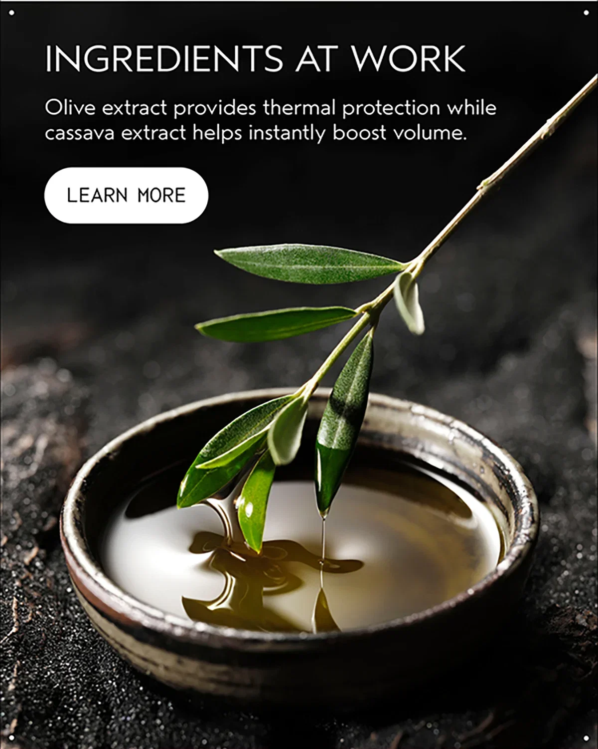 INGREDIENTS AT WORK | Olive extract provides thermal protection while cassava extract helps instantly boost volume. | LEARN MORE