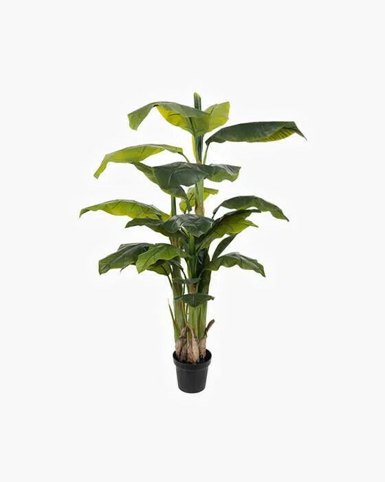 Banan konstväxt grön