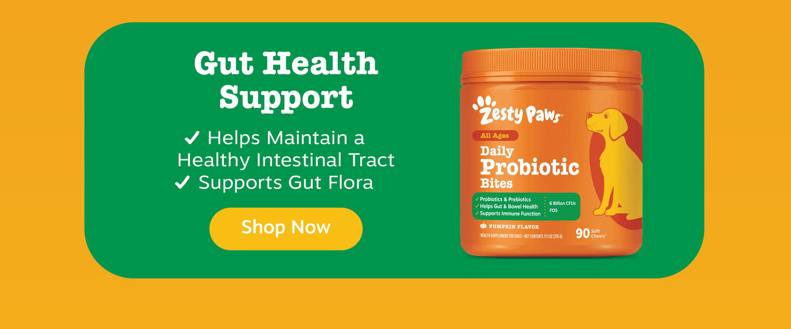 Shop Gut Health Support
