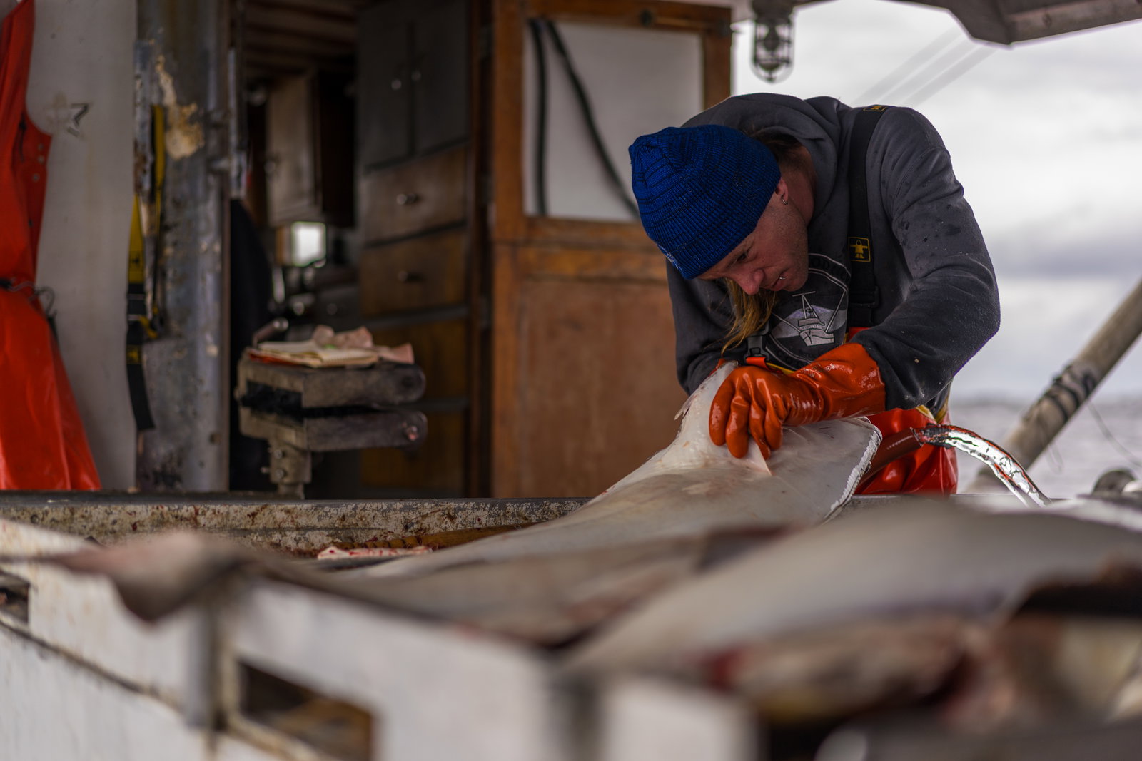 fisherman cleaning halibut on a boat