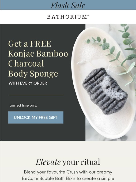 FREE Konjac Bamboo Charcoal Body Sponge with every order
