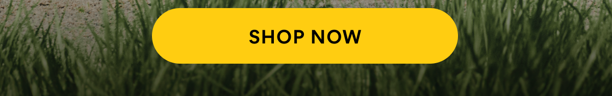 CAT - SHOP NOW Here!