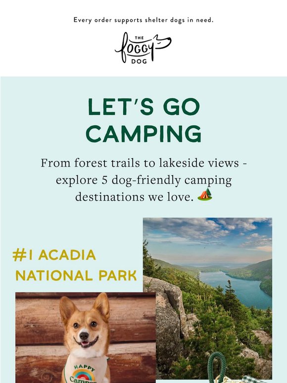 Get in, we’re going camping 🌲