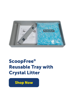 Shop ScoopFree Reusable Tray with Crystal Litter