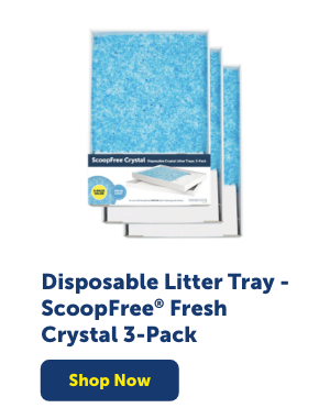 Shop ScoopFree Crystal 3-Pack Fresh Litter Trays