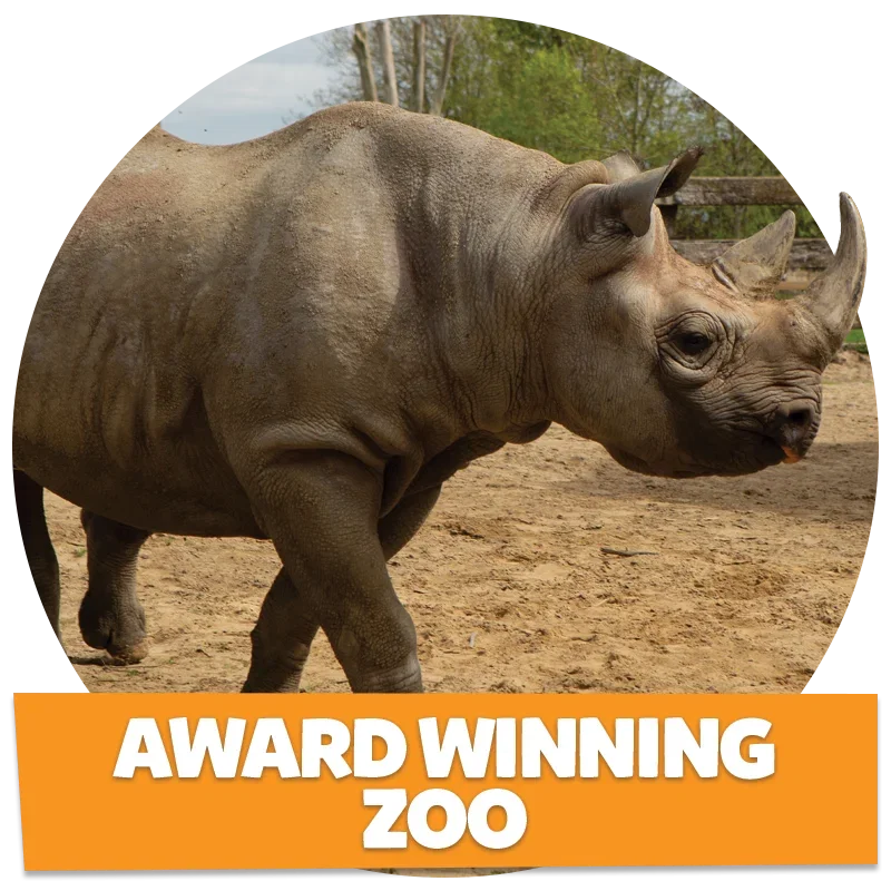 Award Winning Zoo