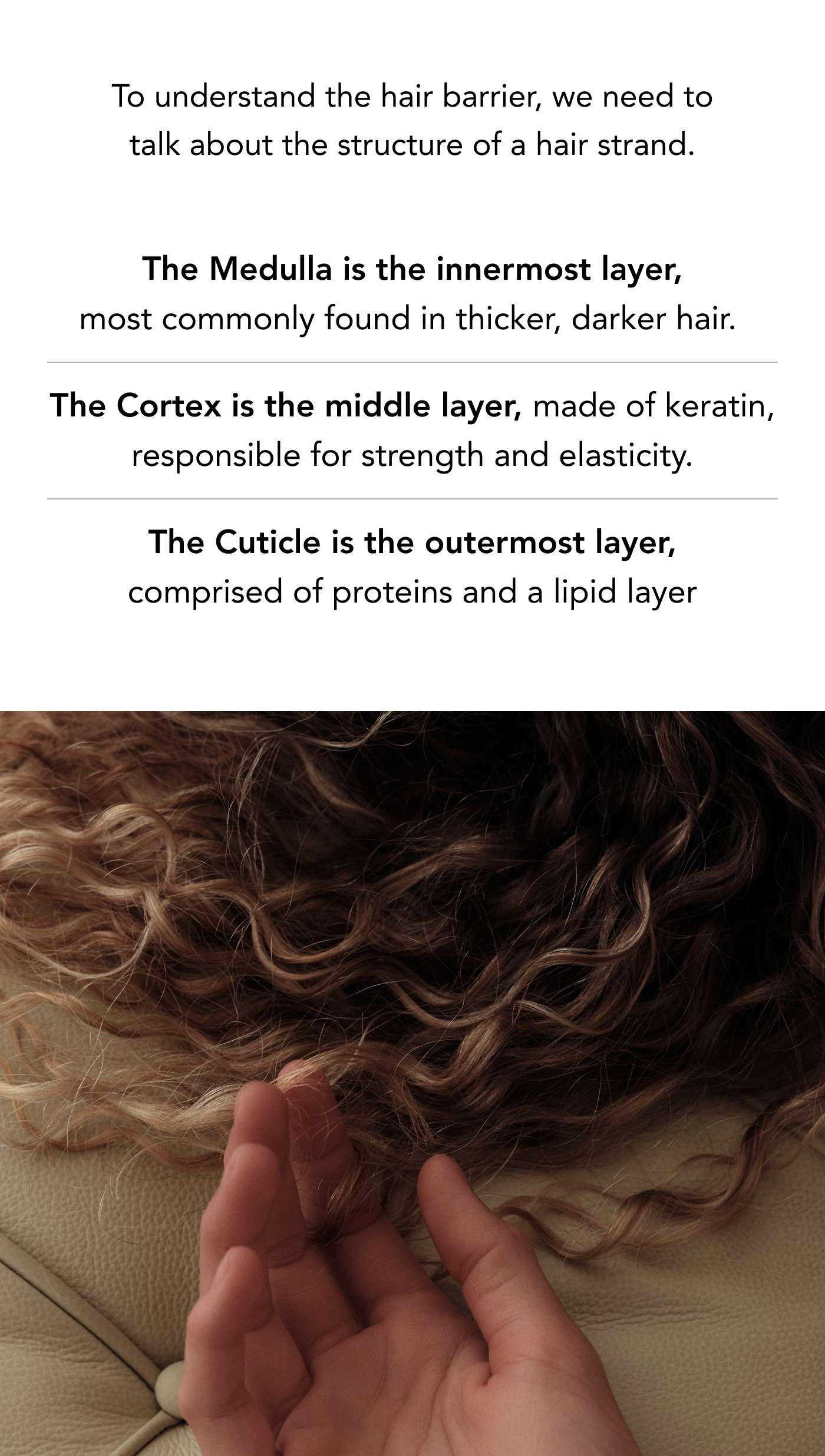 To understand the hair barrier, we need to talk about the structure of a hair strand.   The Medulla is the innermost layer, most commonly found in thicker, darker hair.  The Cortex is the middle layer, made of keratin, responsible for strength and elasticity.  The Cuticle is the outermost layer, comprised of proteins and a lipid layer