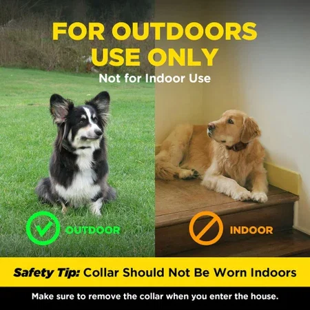 Dogtra Smart Fence transmitter