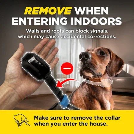 Dogtra Smart Fence collar receiver