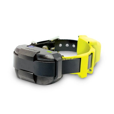 Dogtra GPS Dog Fence System Australia — no size limit, custom boundary, no wire