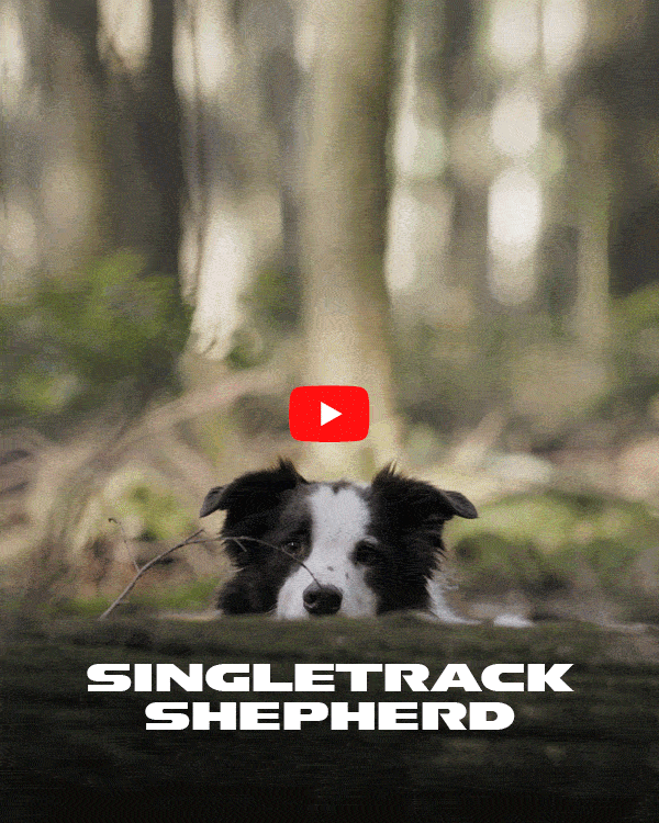 Singletrack Sheppard Norco Sight VLT TQ video