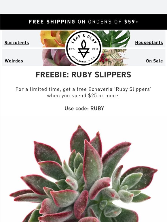 Free Ruby Slippers with your $25+ order! 🌵