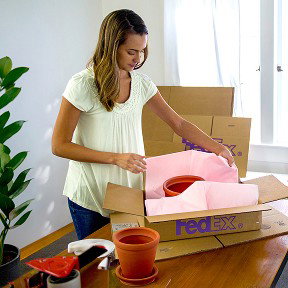 A woman packs a planter into a shipping box at a table, surrounded by packing materials.