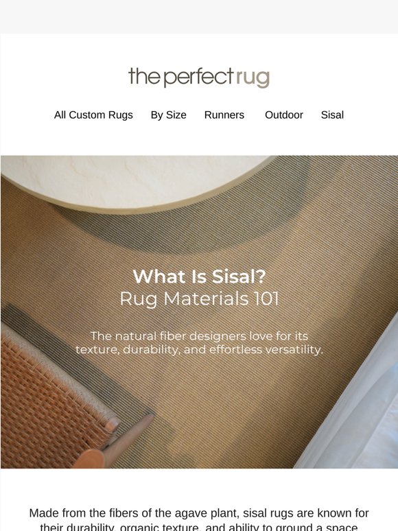 One of the Hardest-Working Rugs You Can Own