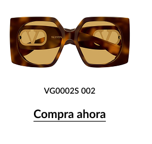 VG0002S 002