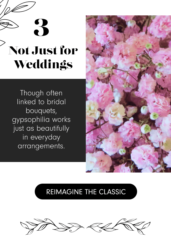 Not Just for Weddings