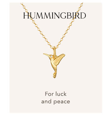 Shop Hummingbird