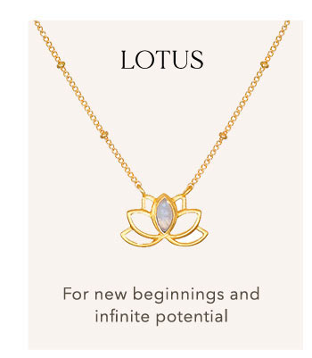 Shop Lotus