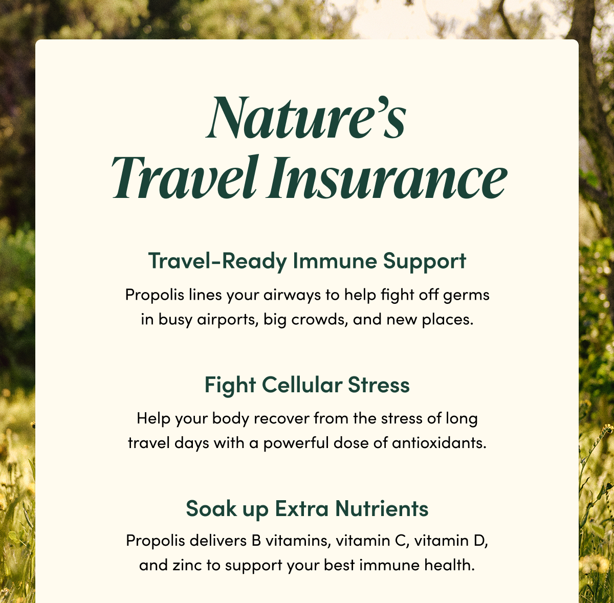 Nature’s Travel Insurance     Travel-Ready  Immune Support  Propolis lines your airways to help fight off germs in busy airports, big crowds, and new places.    Fight Cellular Stress    Help your body recover from the stress of long travel days with a powerful dose of antioxidants.       Soak up Extra Nutrients Propolis delivers B vitamins, vitamin C, vitamin D, and zinc to support your best immune health. 