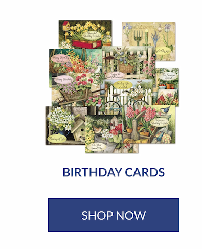 Birthday Cards