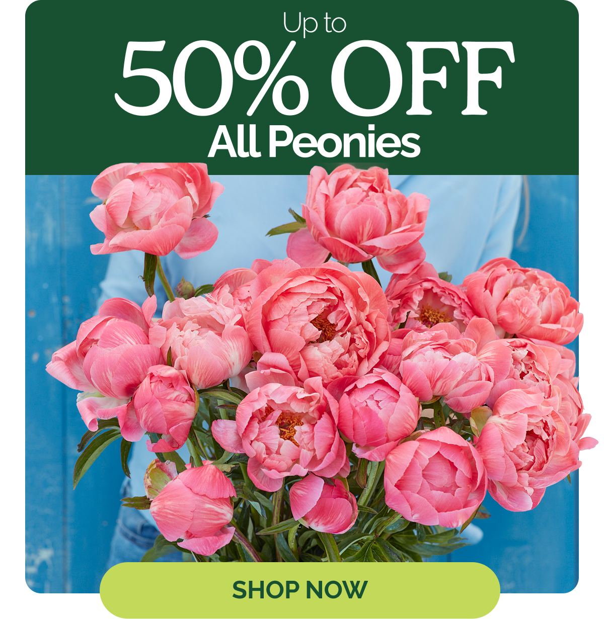 Up to 50% off All Peonies - Shop Now