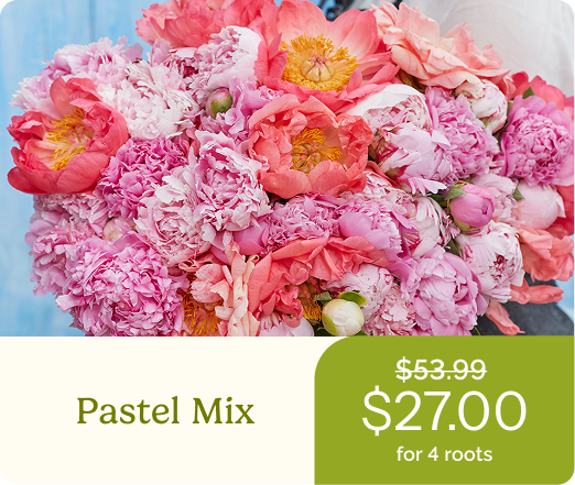 Pastel Mix