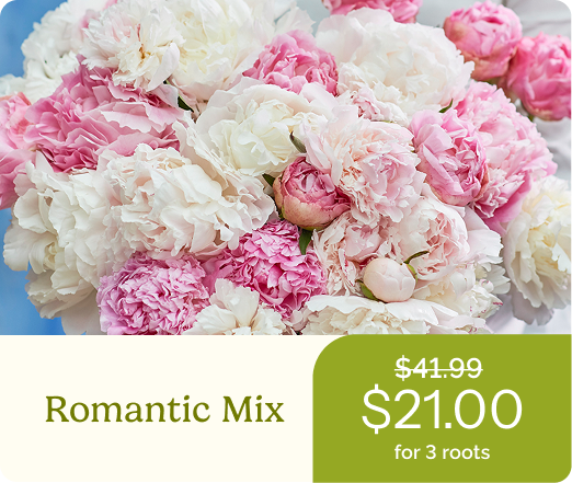 Romantic Mix
