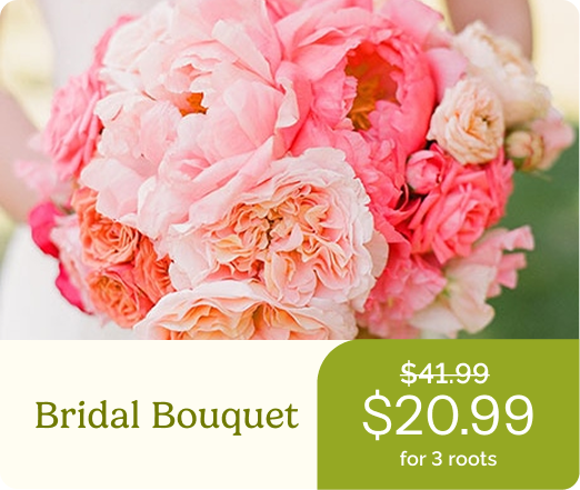 Bridal Bouquet