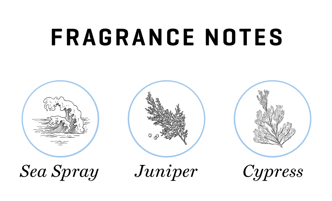 Ghost Trees Fragrance Notes are sea spray, juniper, and cypress