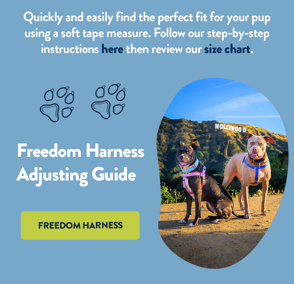 Quickly and easily find the perfect fit for your pup using a soft tape measure. Follow our step-by-step instructions here then review our size chart. Freedom Harness Adjusting Guide (Button) FREEDOM HARNESS