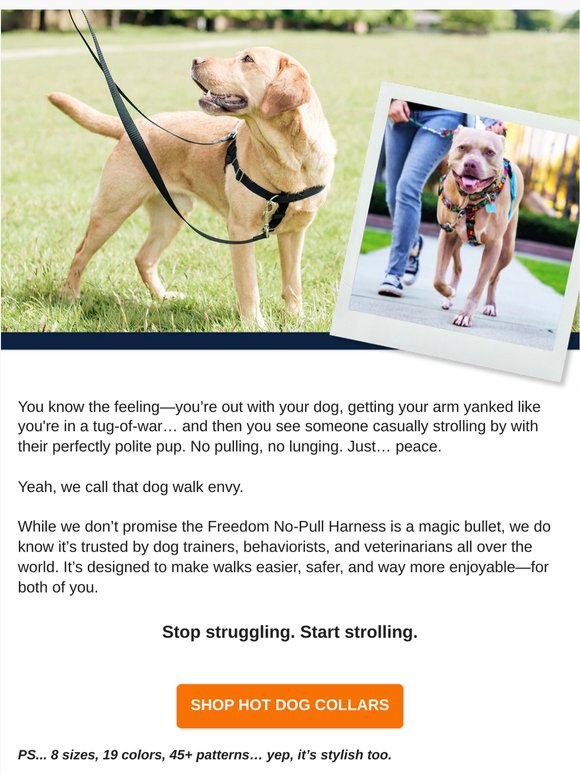 Dog walk envy is real