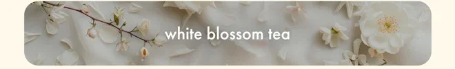 White Blossom Tea