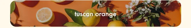 Tuscan Orange