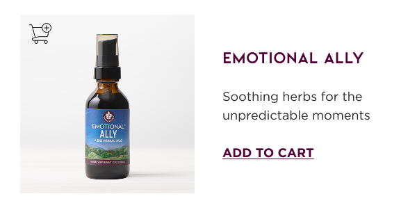 Shop Emotional Ally