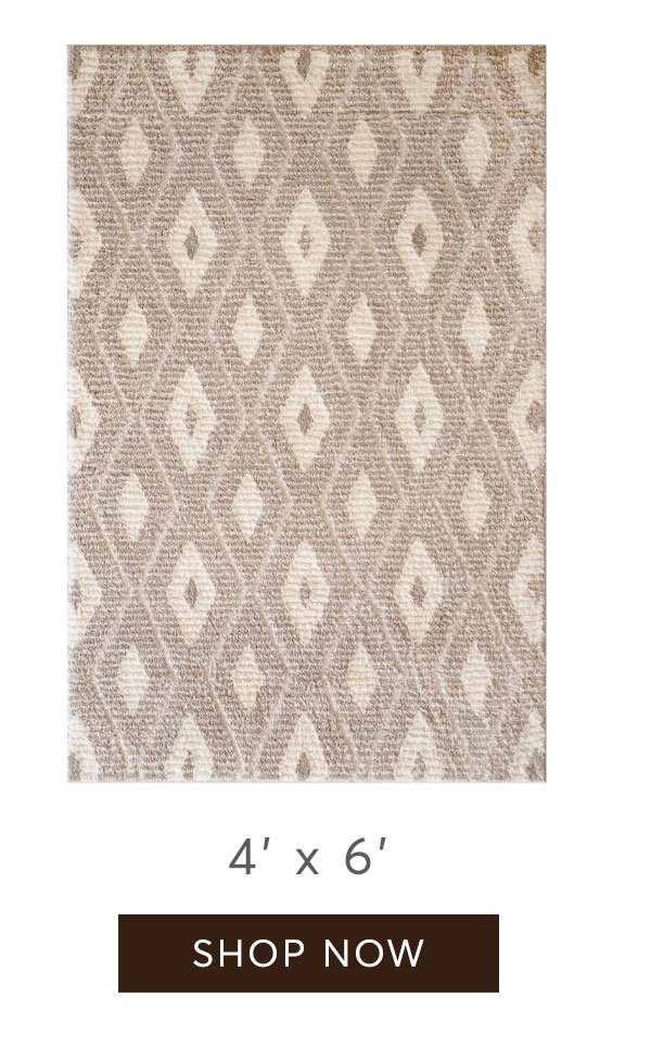 4' x 6' Sepia Rug