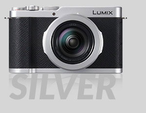 Panasonic LUMIX L10 Digital Camera, Silver