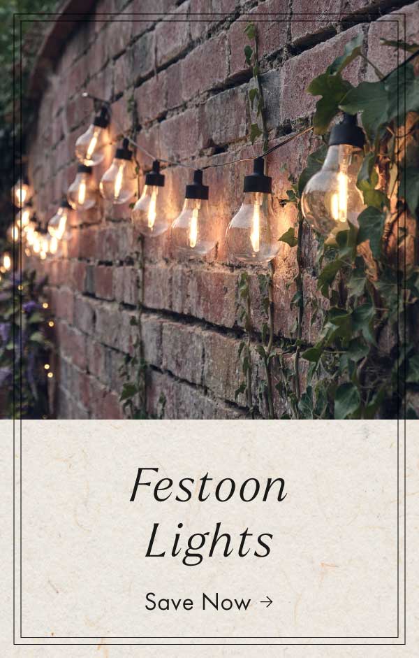 Festoon lights