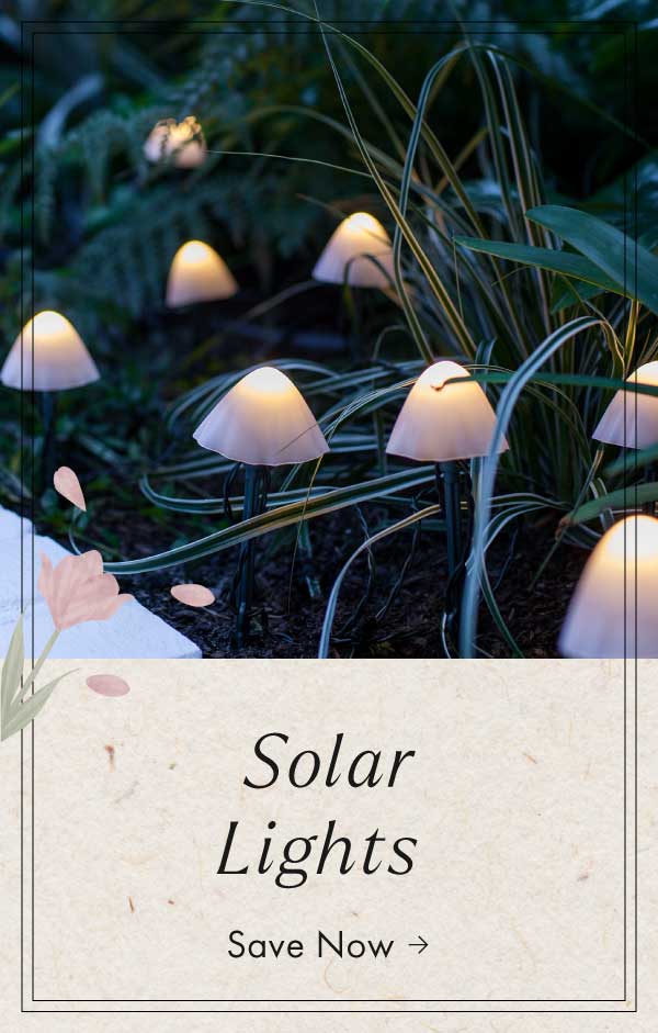 Solar lights