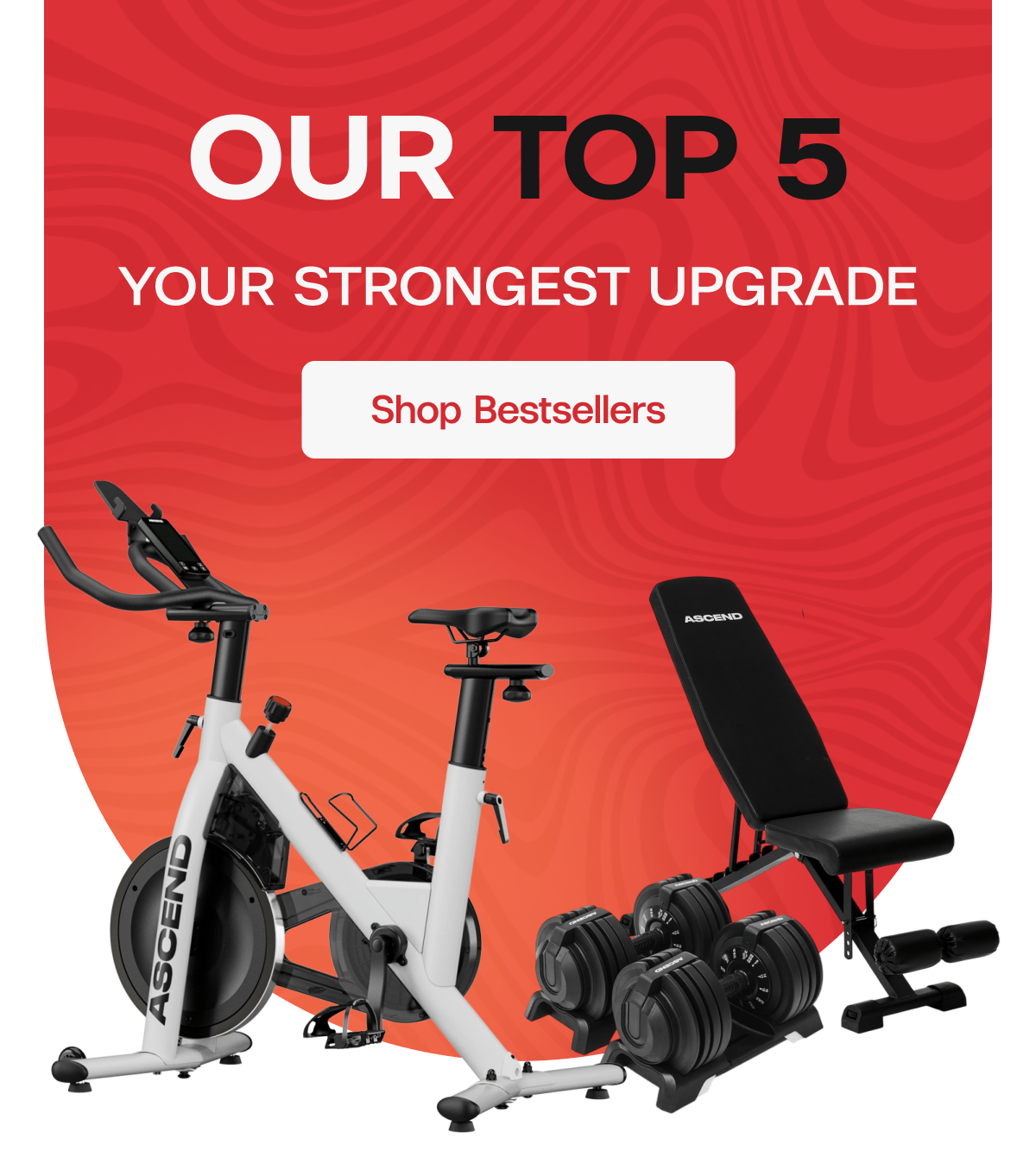 Our Top 5. Your Strongest Upgrade.