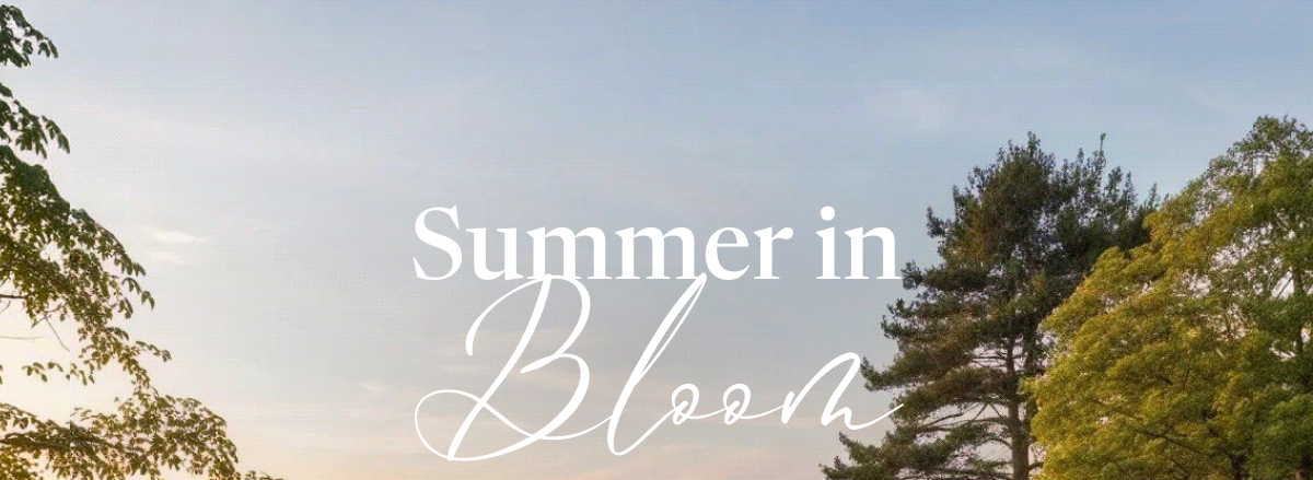 Summer in Bloom