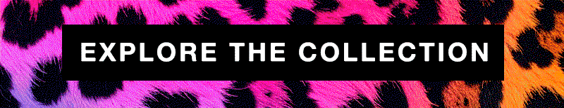 Explore The Collection
