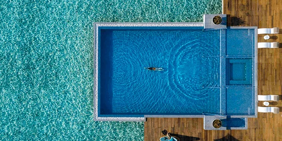 Everything You Can Get for Free as a Société Member