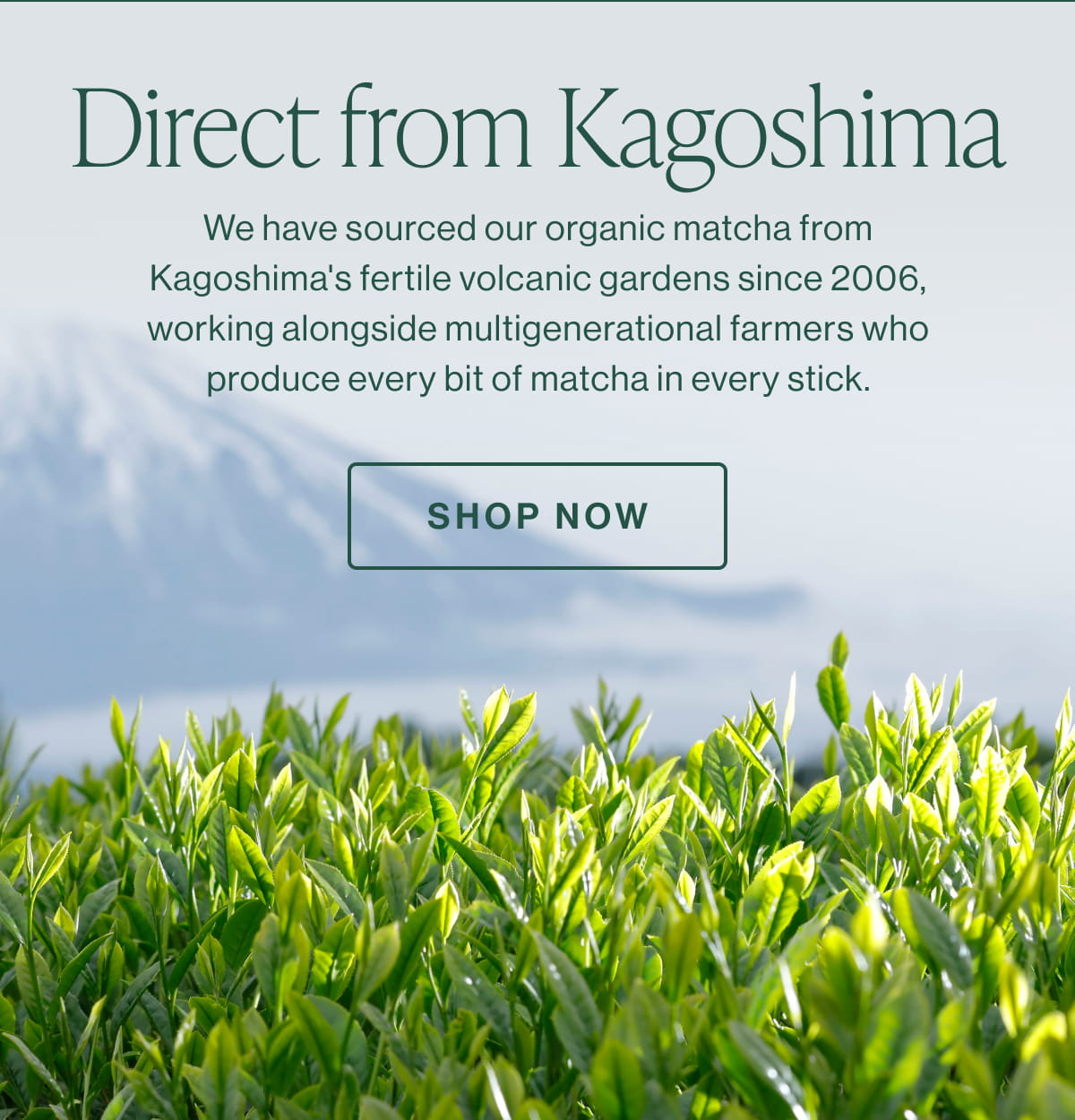 Direct from Kagoshima | Shop Now