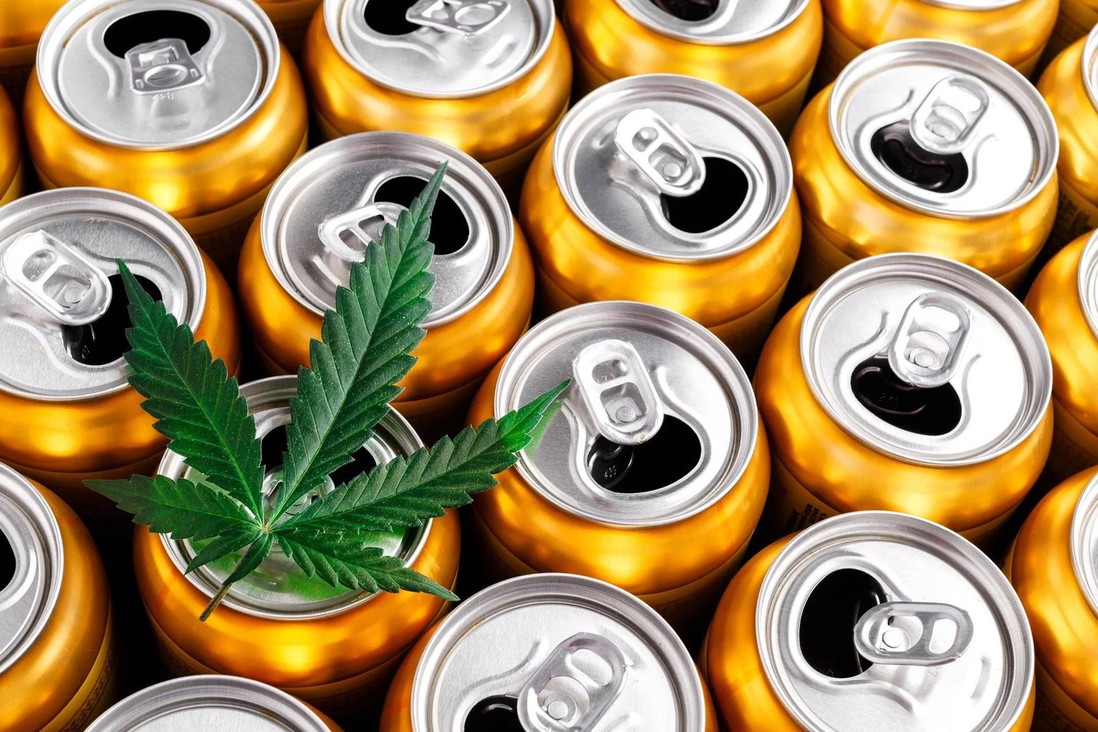 From Lifeline to Liability: The Looming Crackdown on THC Beverages
